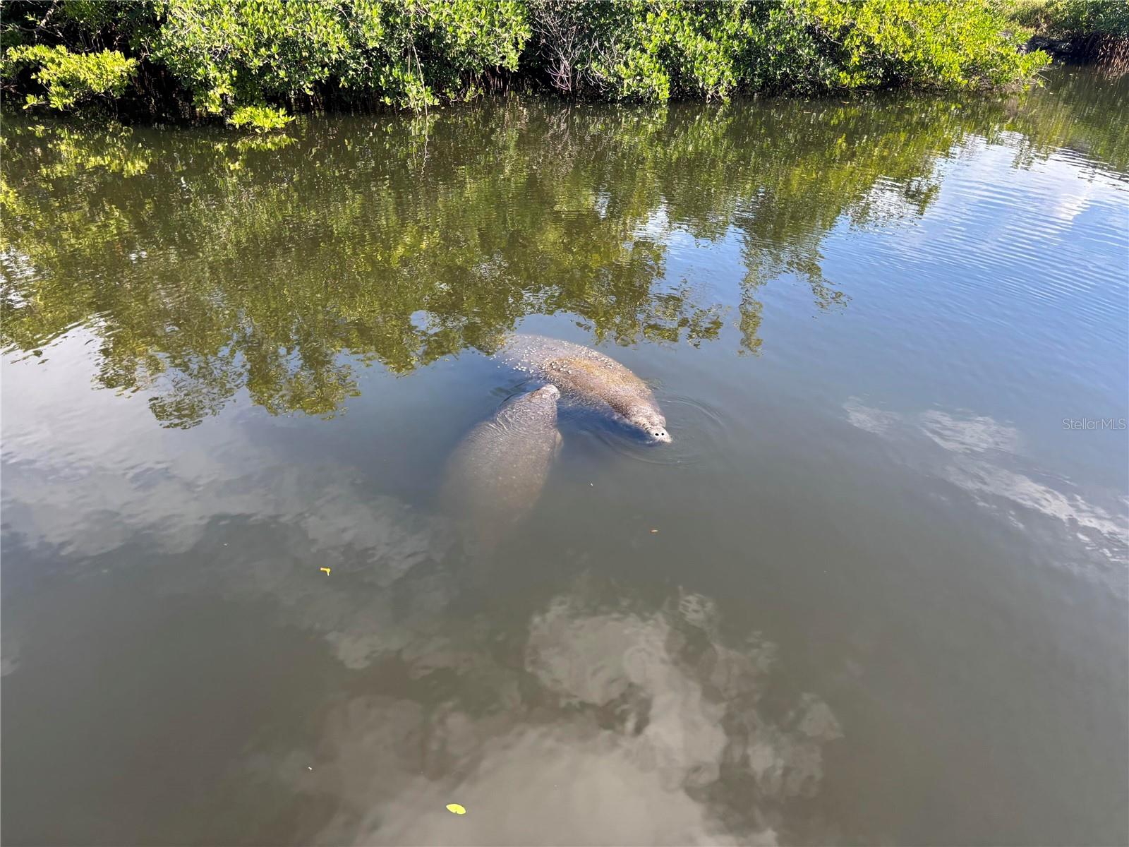 HIDDEN LAGOON PH II - Residential