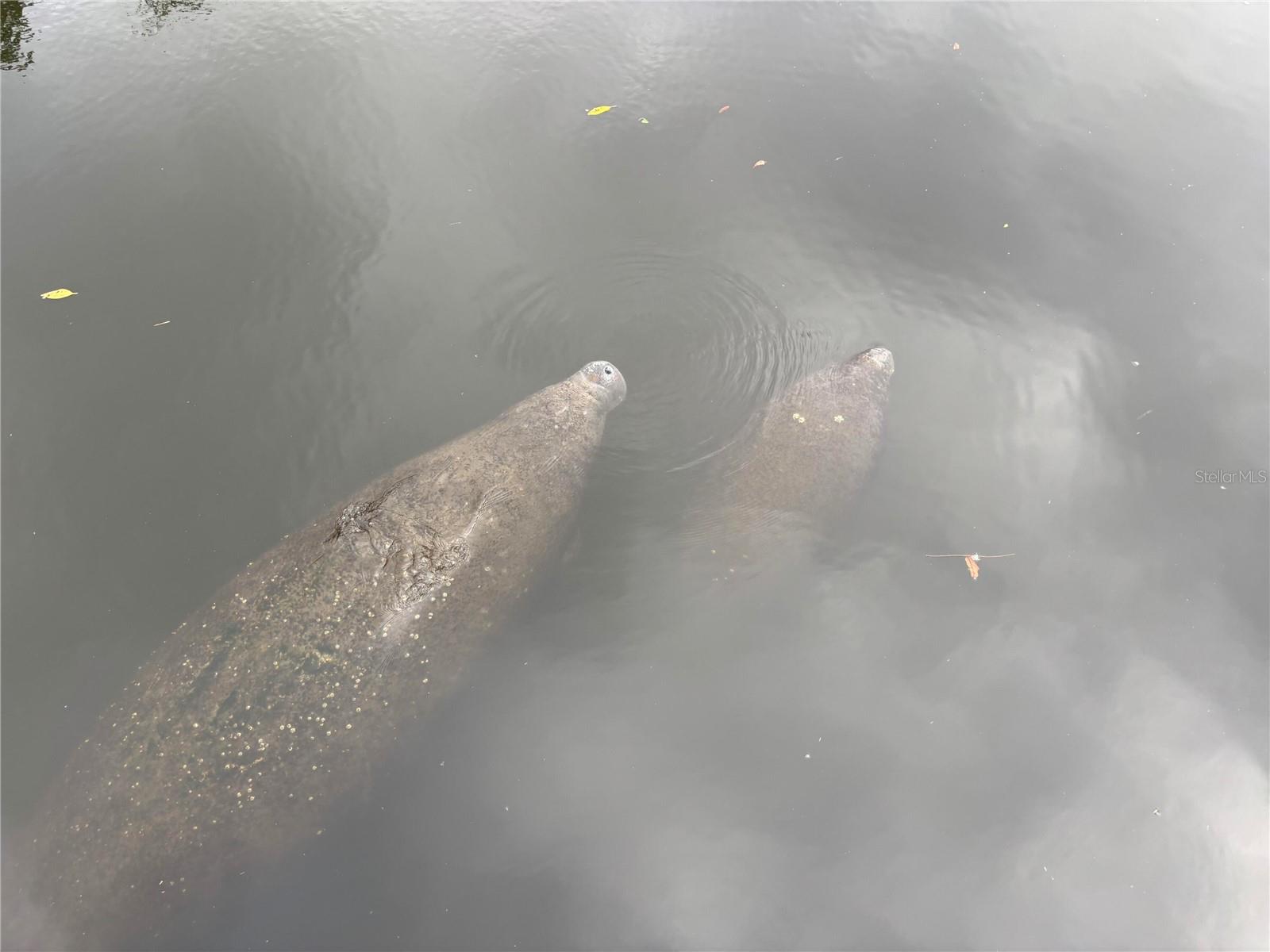 HIDDEN LAGOON PH II - Residential