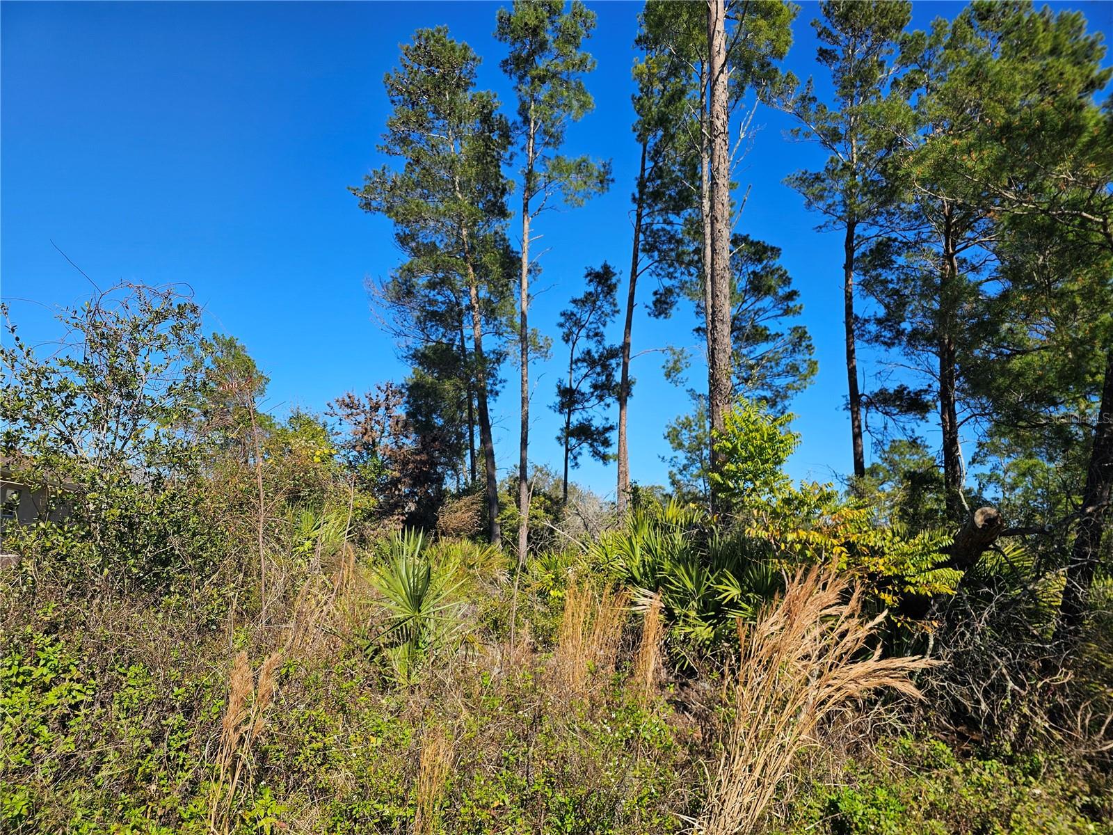 PALM COAST SEC 27 BLK 58 & 59 - Land