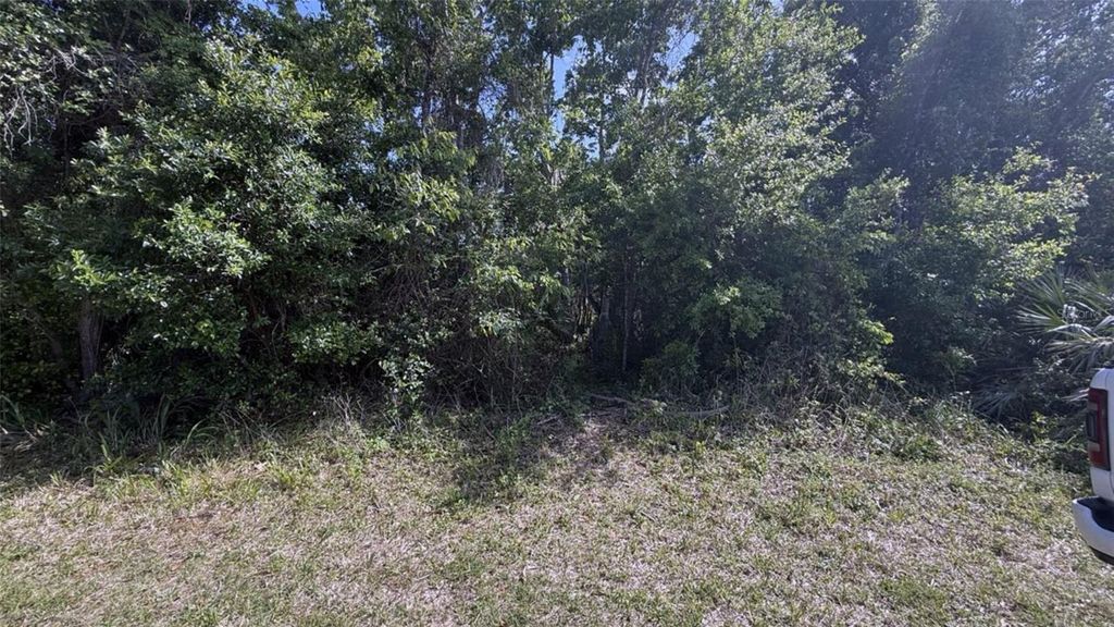 Photo of Cherry Street, New Smyrna Beach, FL 32168 (MLS # NS1087914)