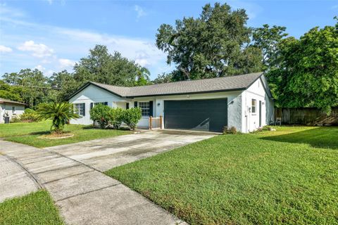 A home in SEFFNER