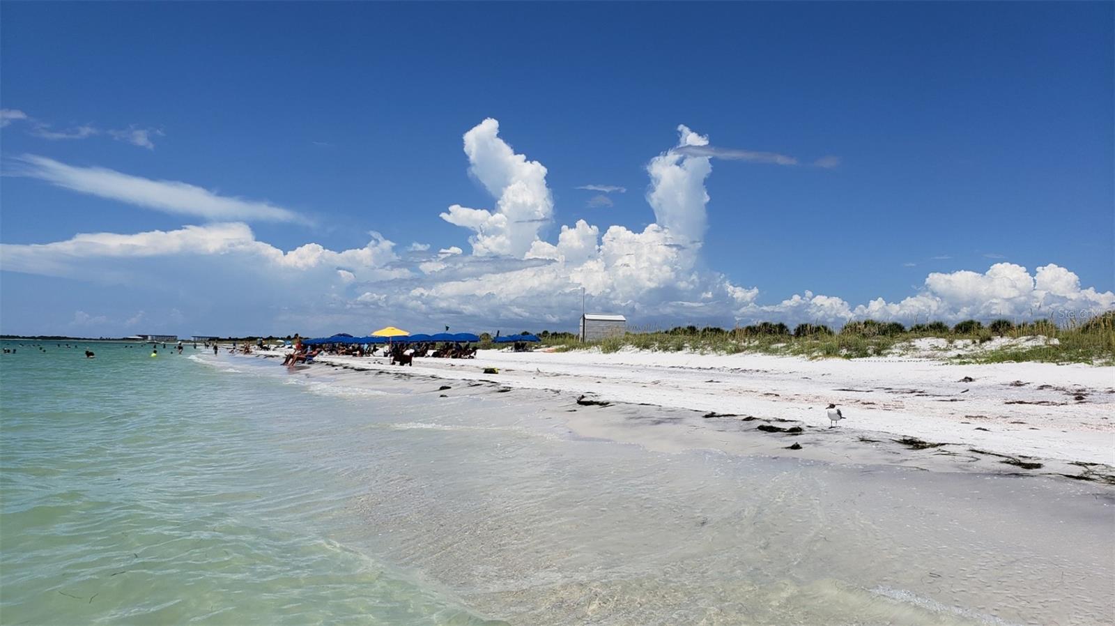 SAND PEBBLE - Residential Lease