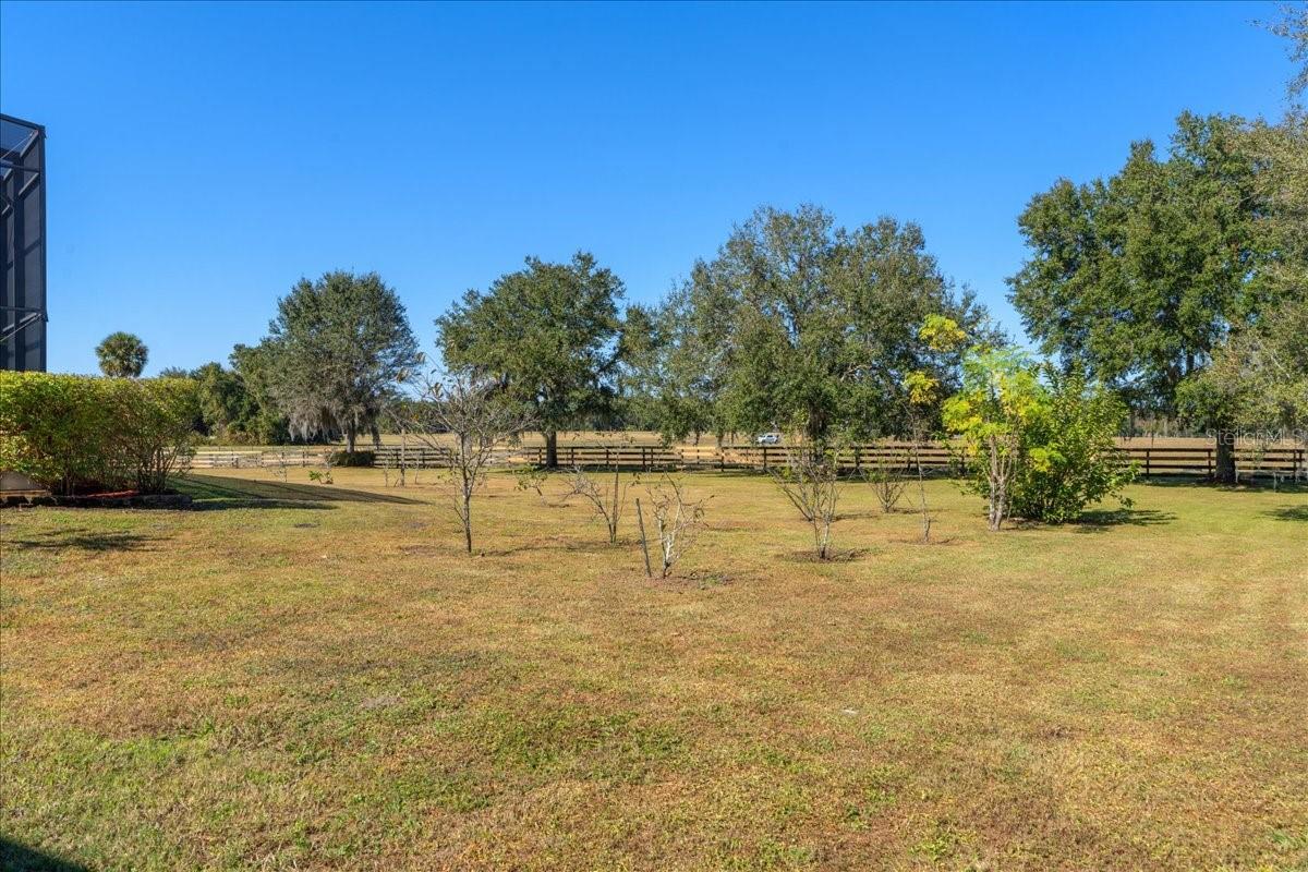 LEVY GRANT MOSES E ASSESSORS REV MAP - Residential