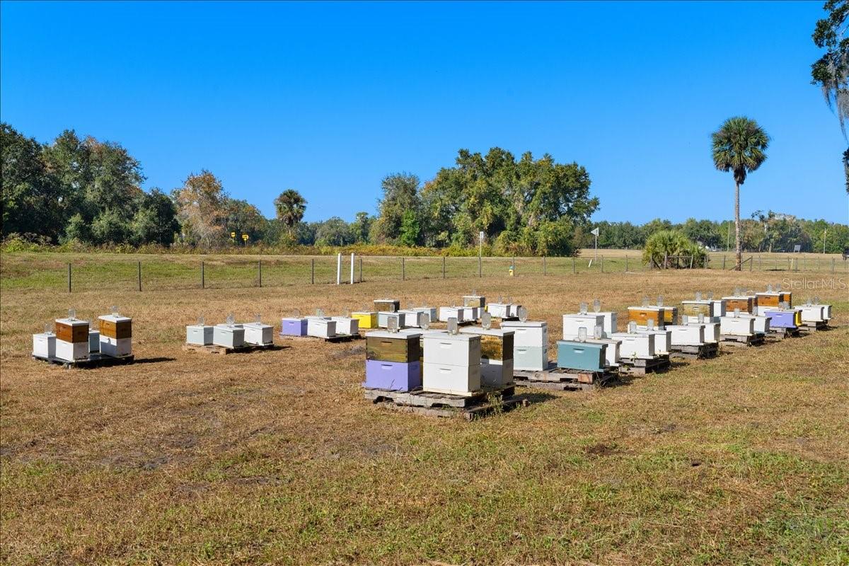 LEVY GRANT MOSES E ASSESSORS REV MAP - Residential