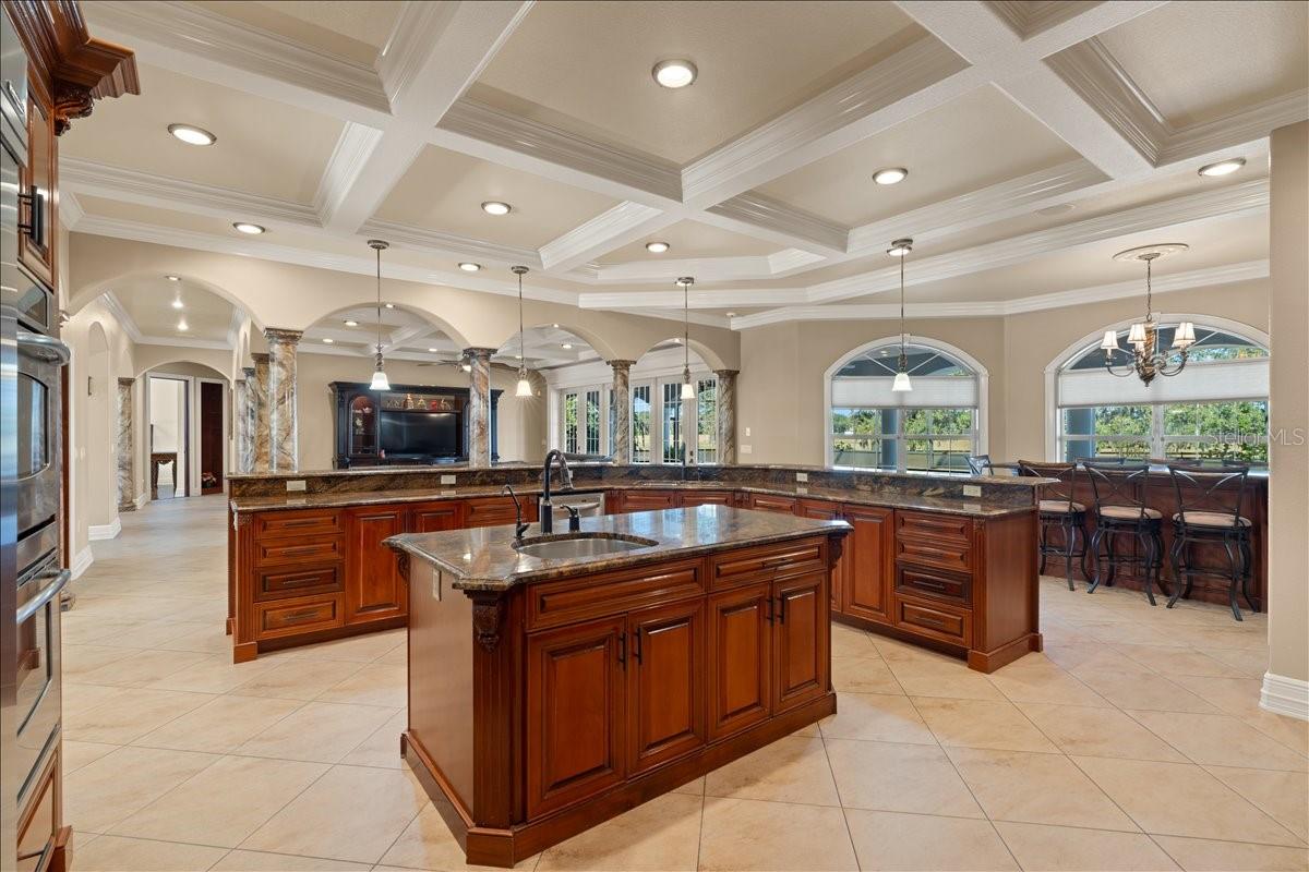 LEVY GRANT MOSES E ASSESSORS REV MAP - Residential