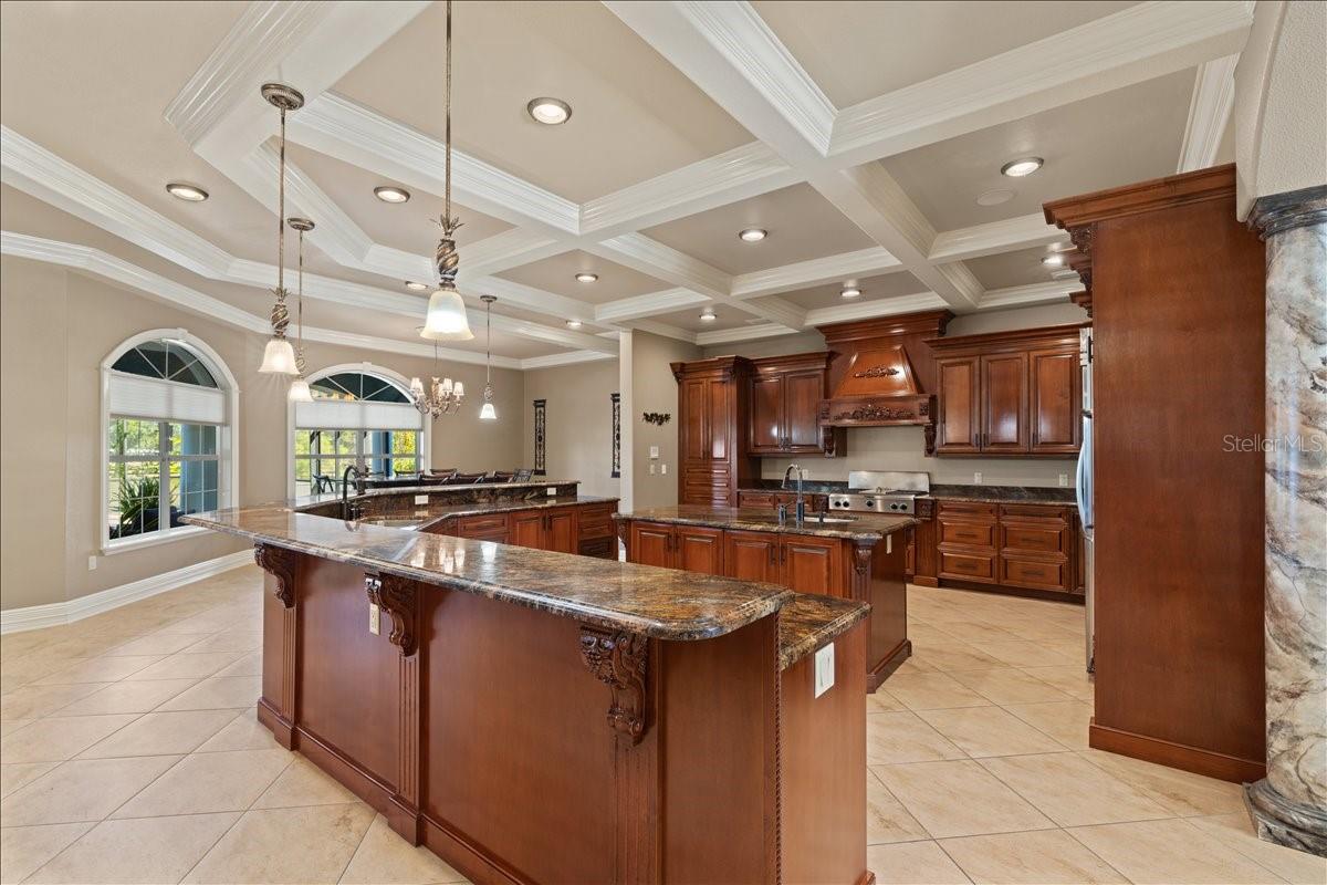 LEVY GRANT MOSES E ASSESSORS REV MAP - Residential