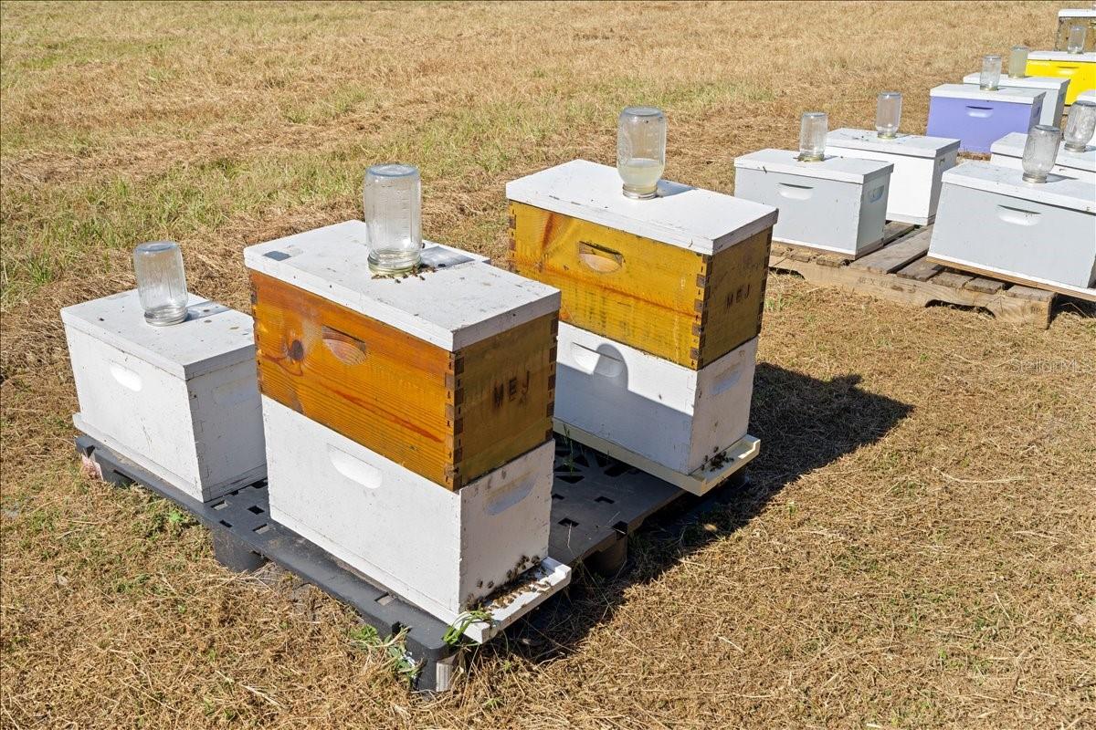 LEVY GRANT MOSES E ASSESSORS REV MAP - Residential