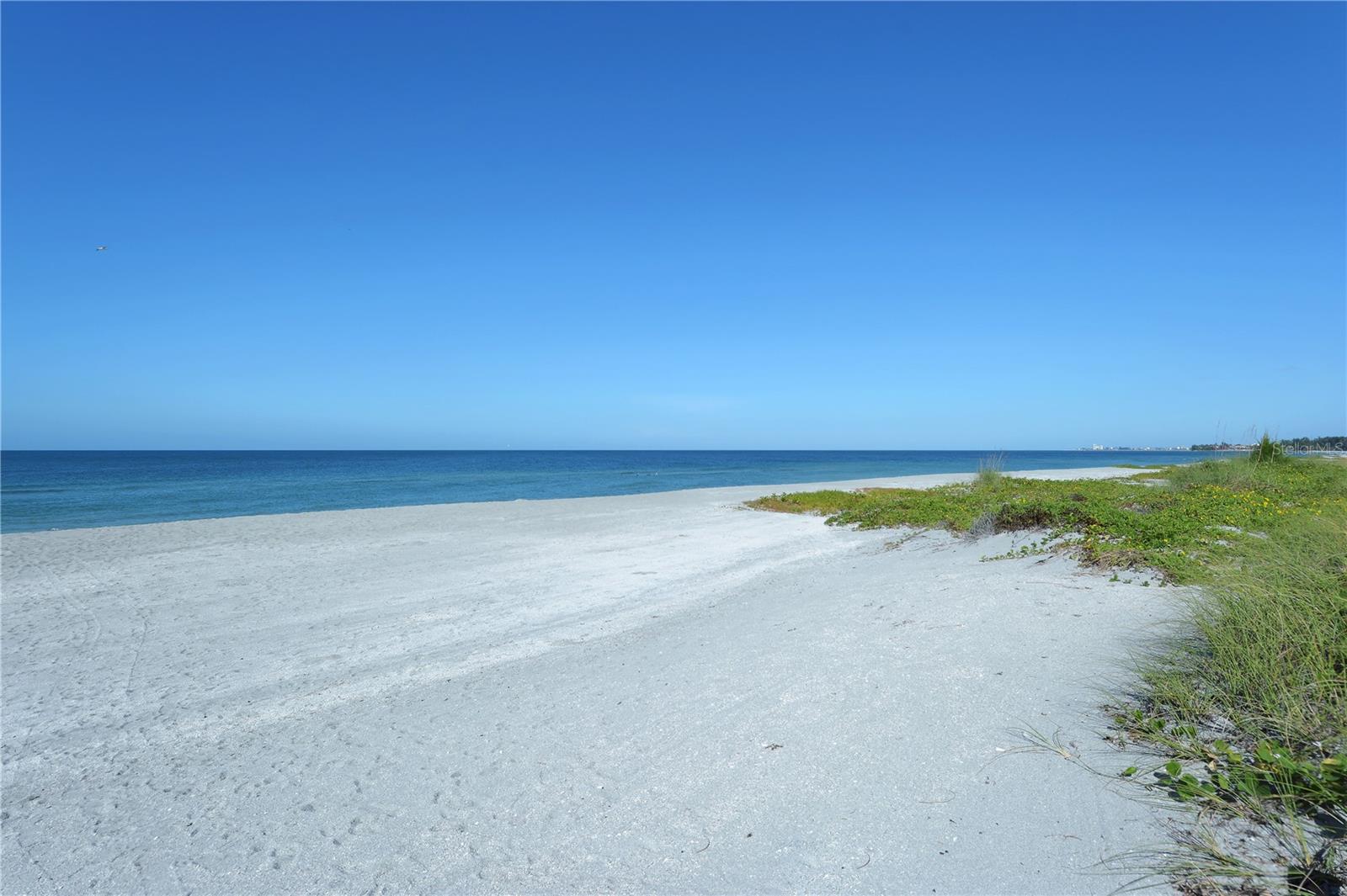 TORTUGA - Residential Lease