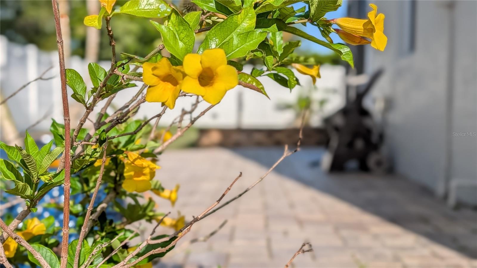 PORT CHARLOTTE SEC 015 - Residential