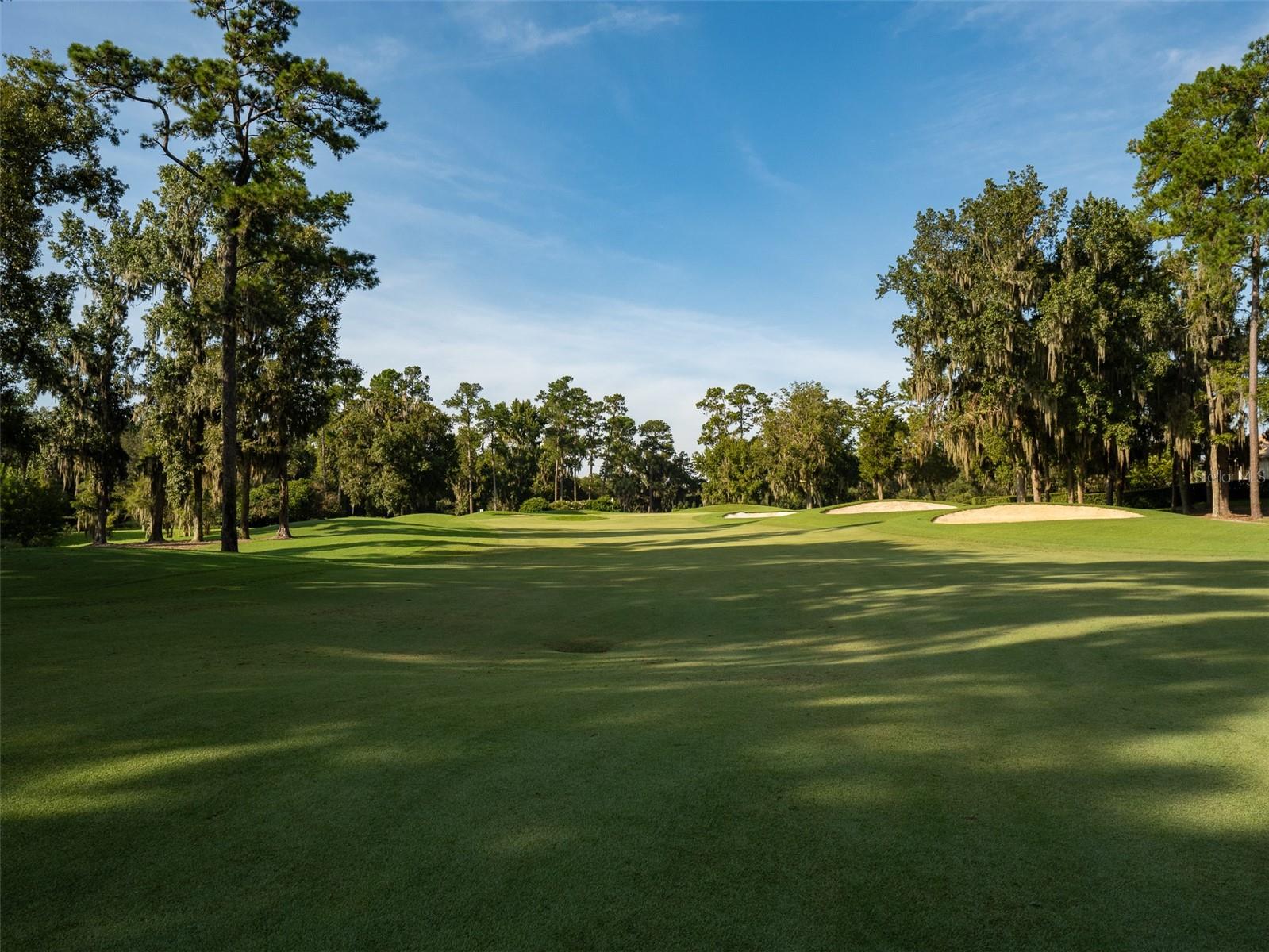 GOLDEN OCALA - Residential