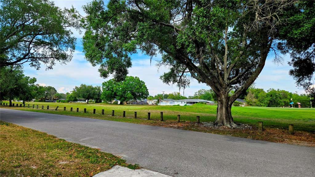 Photo of 10206 N Oakleaf Avenue, Tampa, FL 33612 (MLS # O6407530)