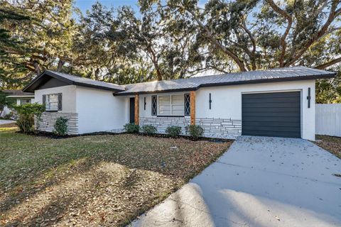 320 PHEASANT CIRCLE BRANDON FL 33510