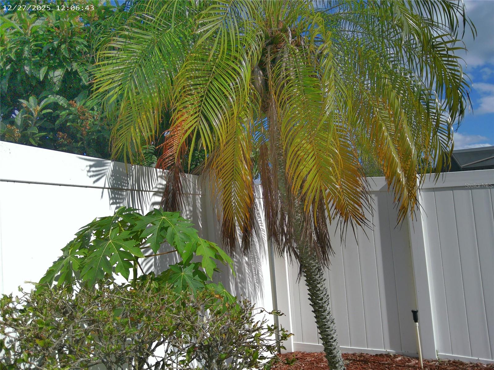 SOUTHCHASE PH 01B VILLAGE 06 - Residential