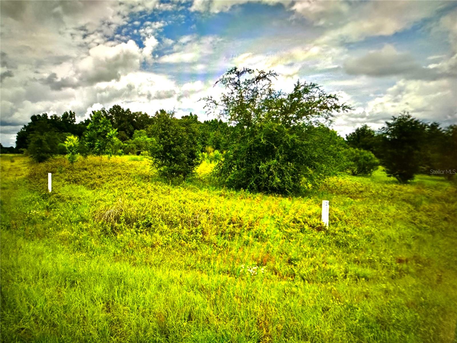 This expansive 5.01-acre corner lot in the Suwannee Valley subdivision offers the perfect blend of space, privacy, and flexibility. With no HOA restrictions, you have the freedom to bring your vision to life, whether that includes a dream home, workshop, or space for all your recreational toys. The lot is nicely level and sits above street grade, providing an ideal foundation for building. Surrounded by nature and offering ample room to breathe, this property ensures privacy galore, making it a perfect retreat for those seeking a serene, spacious setting to call home.