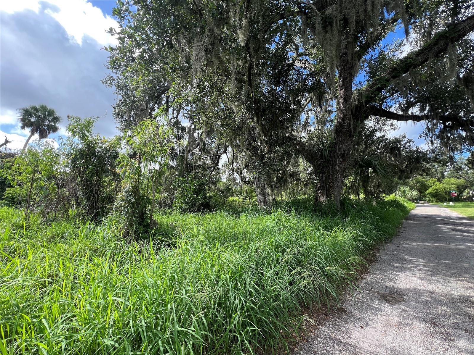 Don't miss out on this 0.627 acres in Arcadia, FL! The oversized vacant parcel is located near shopping, dinning and entertainment. Line on aerial map is not actual boundaries and the lot dimensions are approximate since it is an irregular shaped lot so a survey is recommended.