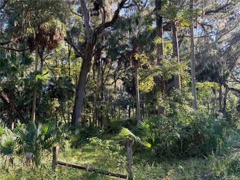 Tiny photo for 2701 NE 175th Street Road, Citra, FL 32113 (MLS # G5119397)