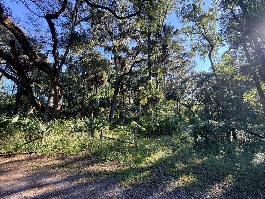Photo of 2701 NE 175th Street Road, Citra, FL 32113 (MLS # G5119397)