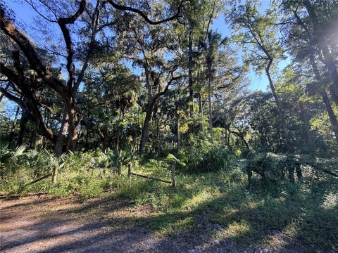 Tiny photo for 2701 NE 175th Street Road, Citra, FL 32113 (MLS # G5119397)