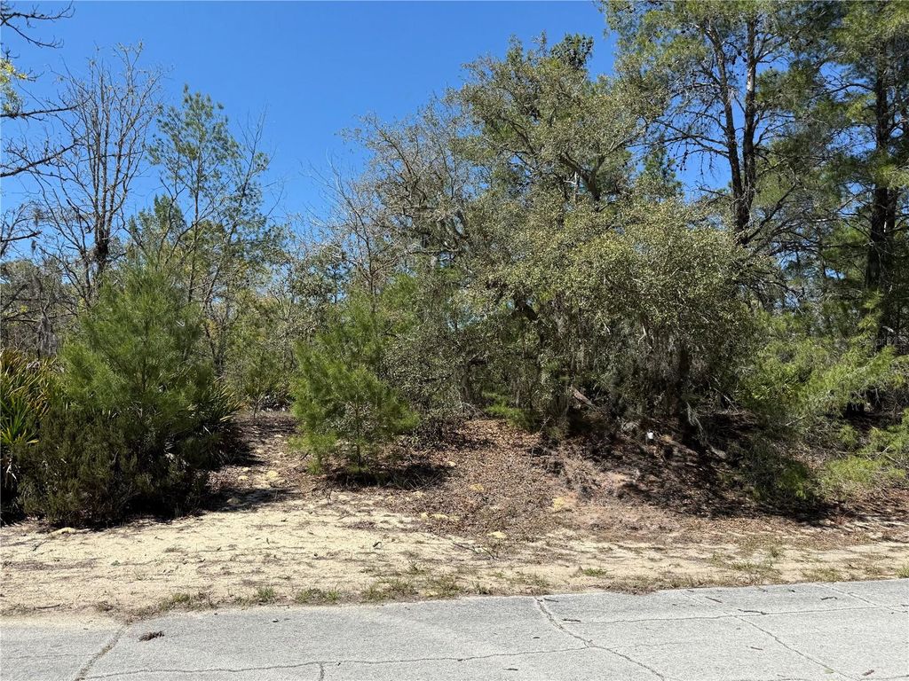 Photo of 10762 N Moreno Drive, Dunnellon, FL 34433 (MLS # OM721199)