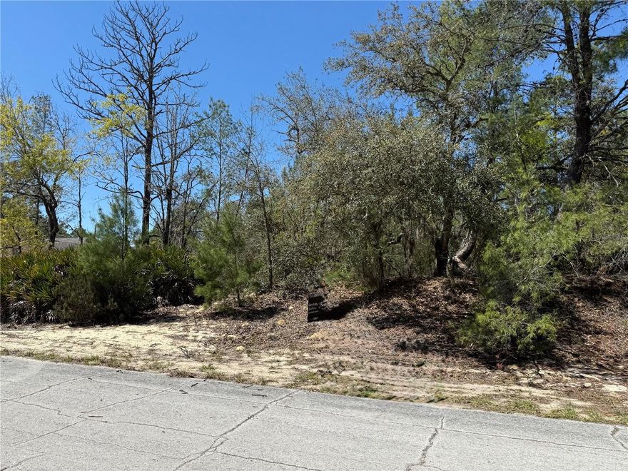0.31-acre lot in Citrus Springs, Florida, offering a great building site with no HOA restrictions. Located near Crystal River and Dunnellon, this property provides convenient access to outdoor activities, waterfront recreation, dining, and shopping. A peaceful setting with plenty of potential to design and build your ideal home.  The neighboring lot is also available, offering the opportunity to expand your vision or secure additional space.