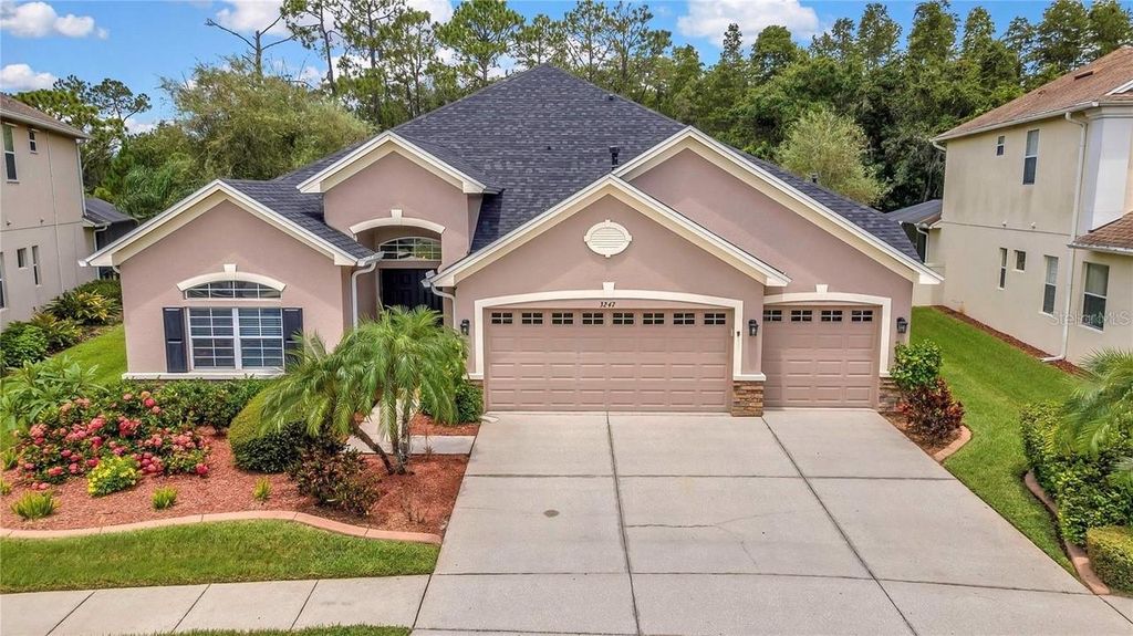 Photo of 3247 Diamond Falls Circle, Land O Lakes, FL 34638 (MLS # V4948072)