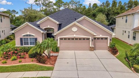 Photo of 3247 Diamond Falls Circle, Land O Lakes, FL 34638 (MLS # V4948072)