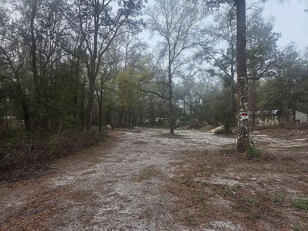 Photo of SW 156th Place, Dunnellon, FL 34432 (MLS # C7525292)