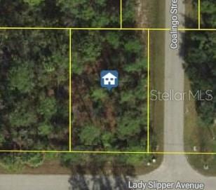 CORNER LOT! This nearly quarter-acre lot offers the perfect canvas for your future home in North Port. With frontage on Lady Slipper Avenue, the property provides a prime location in a quiet neighborhood setting. The absence of an HOA allows you the freedom to design without restrictive rules, giving you flexibility to create the home and outdoor space you’ve been envisioning. Whether you choose to build now or hold as an investment, this lot is a smart opportunity in one of Southwest Florida’s fastest-growing communities.