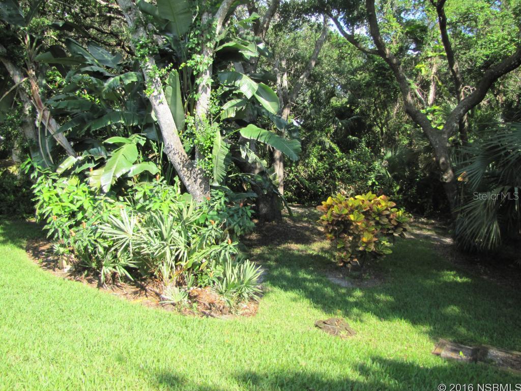 New Smyrna Beach - Residential