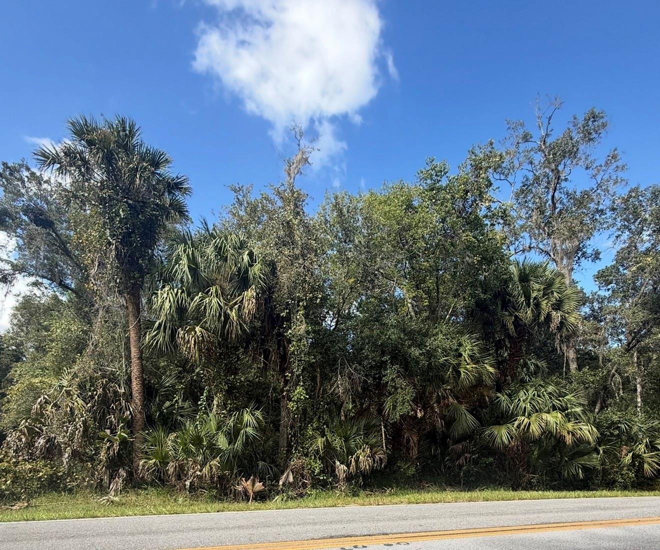 OLD KISSIMMEE ROAD