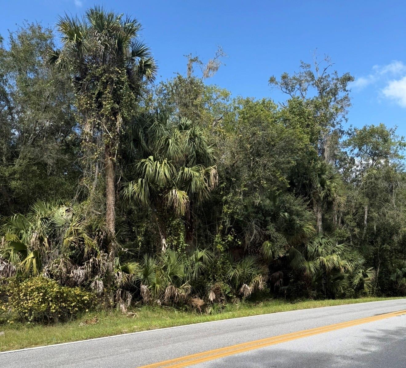 OLD KISSIMMEE ROAD