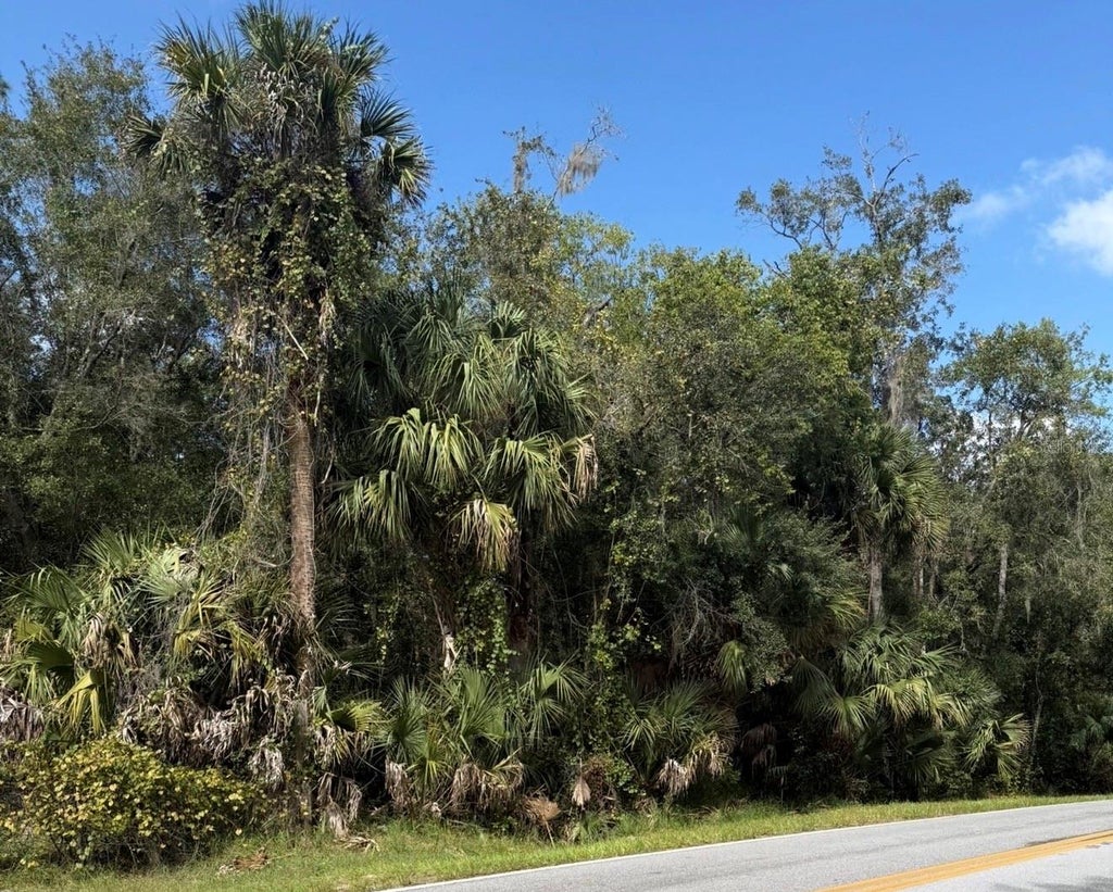 Photo of Old Kissimmee Road, Davenport, FL 33896 (MLS # S5160176)