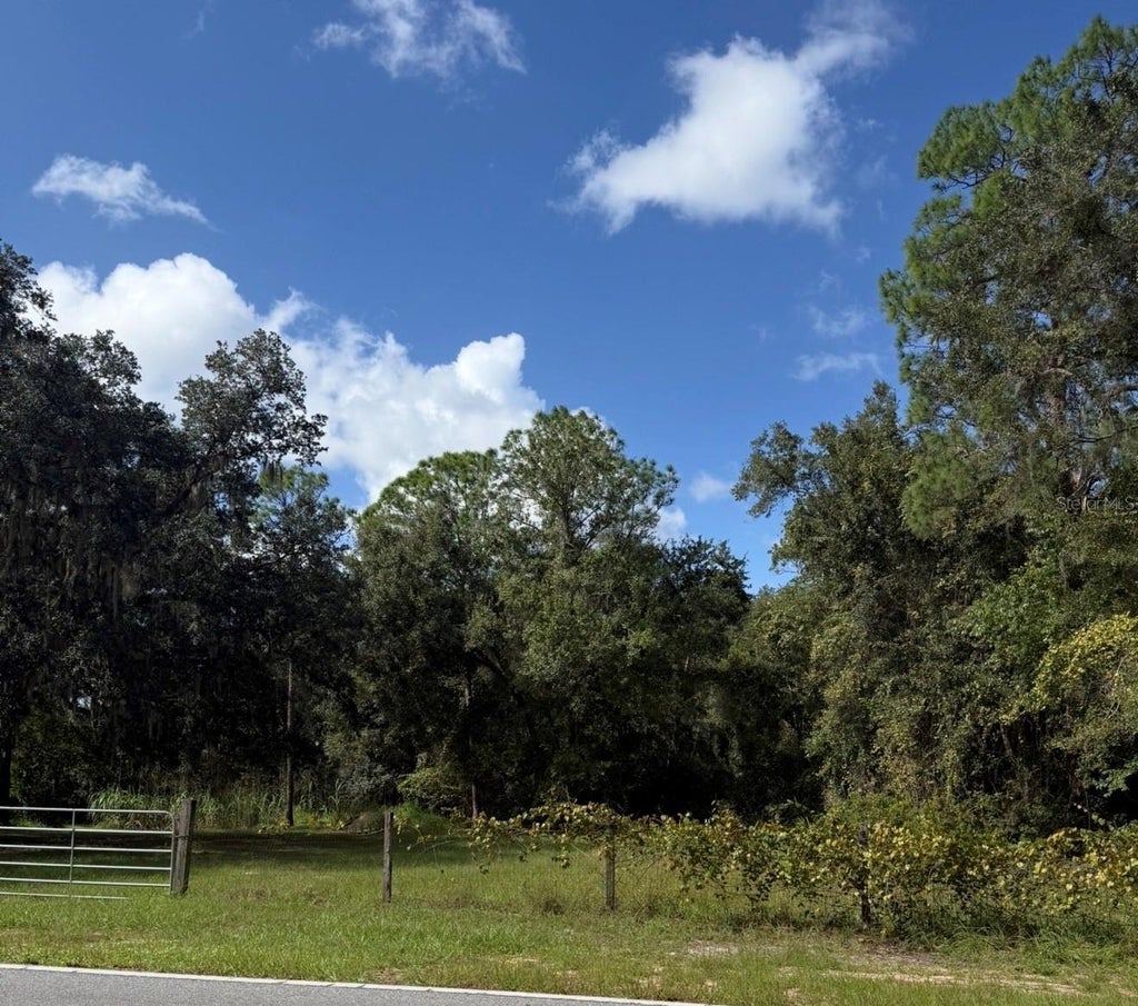 Photo of Old Kissimmee Road, Davenport, FL 33896 (MLS # S5160176)