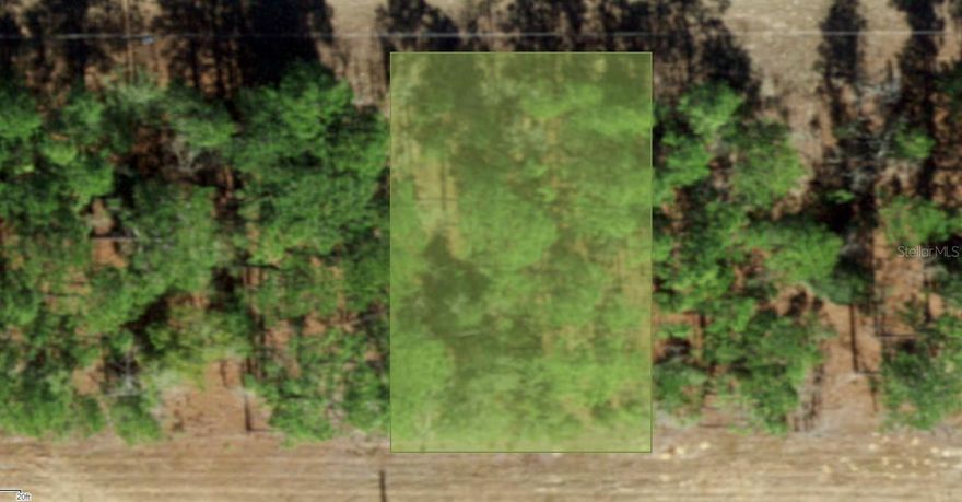 A VACANT LOT IN CITRUS SPRINGS IN CITRUS COUNTY!!!