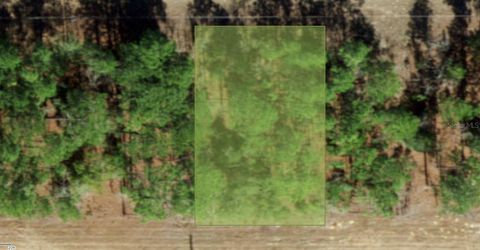 554 W GLENHAVEN DRIVE CITRUS SPRINGS FL 34434