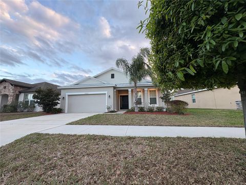 11937 BAHIA VALLEY DRIVE RIVERVIEW FL 33579