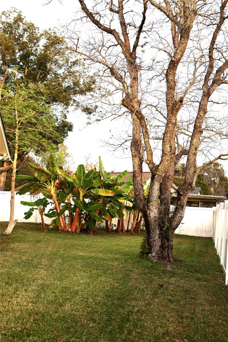 WEDGEWOOD TENNIS VILLAS - Residential