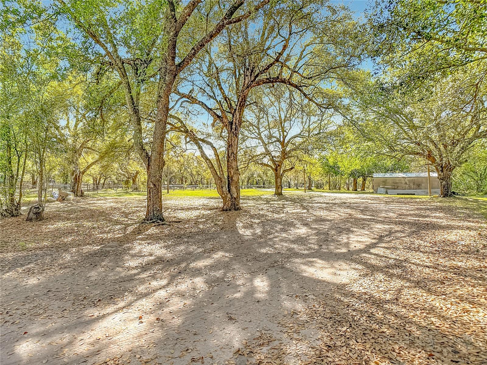 R Z INVESTMENTS - Residential