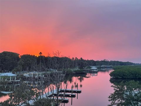 A home in NEW SMYRNA BEACH