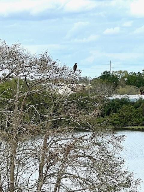 SPRING LAKE TOWERS - Residential Lease