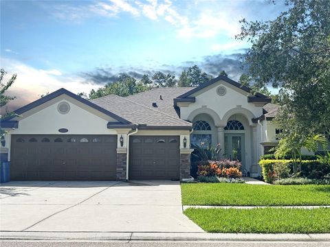 A home in WESLEY CHAPEL