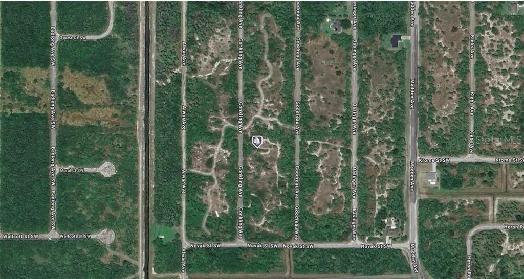 Photo of 1991 Conkling Avenue SW, Palm Bay, FL 32908 (MLS # A4667921)