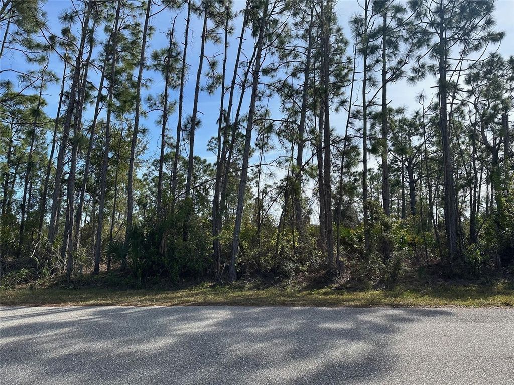 Photo of 8258 Dittmar Street, Port Charlotte, FL 33981 (MLS # TB8377803)