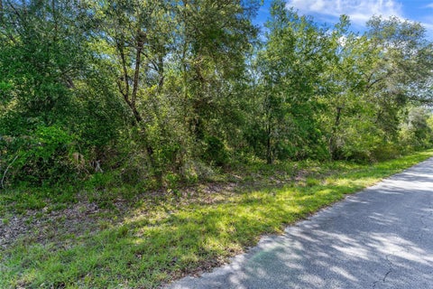 Photo of SW Shasta Court, Dunnellon, FL 34431 (MLS # G5114455)