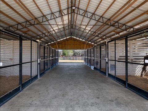 Tiny photo for 11130 W Highway 326, Ocala, FL 34482 (MLS # OM719183)