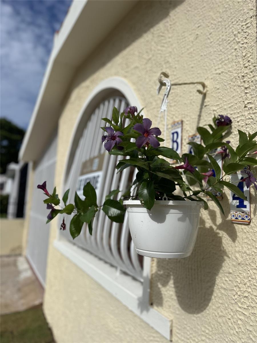 SANTA ISIDRA I - Residential