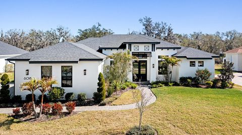 6018 ABBEY OAKS DRIVE LAKELAND FL 33811