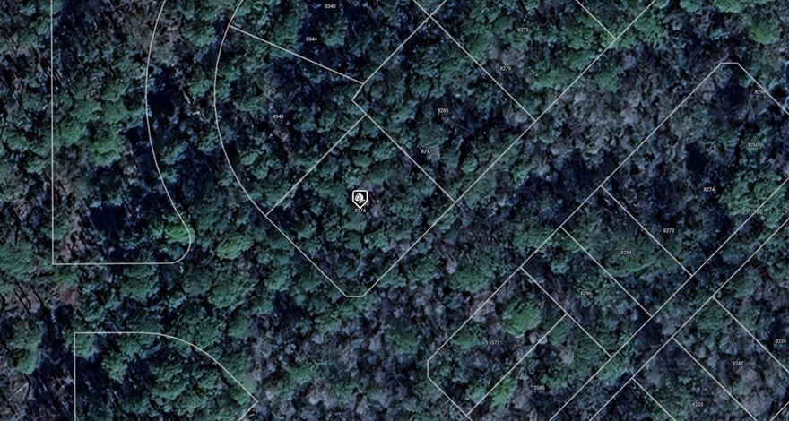 A VACANT LOT IN HOMOSSASA IN CITRUS COUNTY!!!