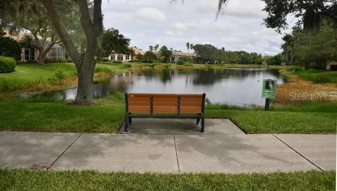 MIRA LAGO AT PALMER RANCH PH 1 - Residential