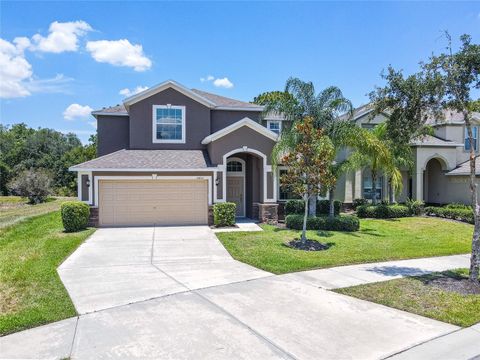 A home in WIMAUMA